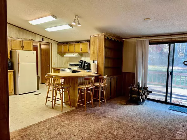 544 North Settlement, Ashland, NY 12407