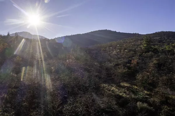 551 Grandview DR, Ashland, OR 97520