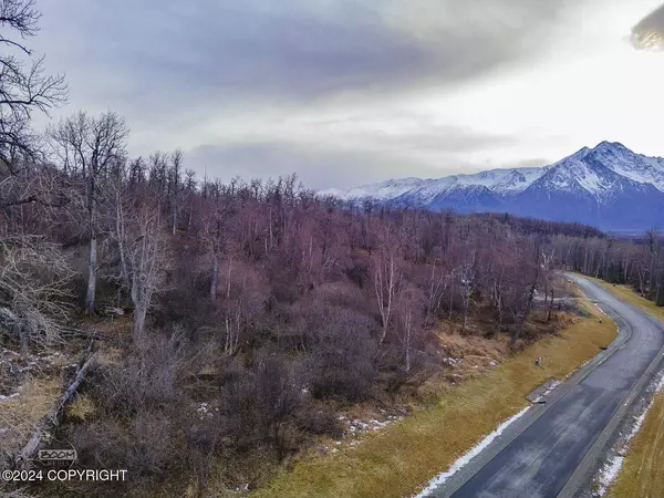 485 N Hale CIR, Palmer, AK 99645