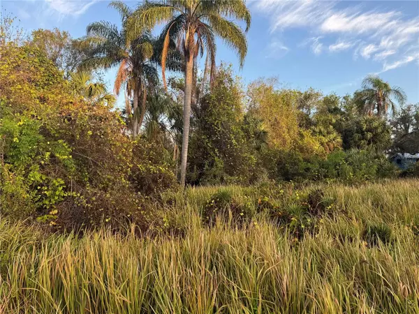 0 W MARTIN LUTHER KING JR ST, Arcadia, FL 34266