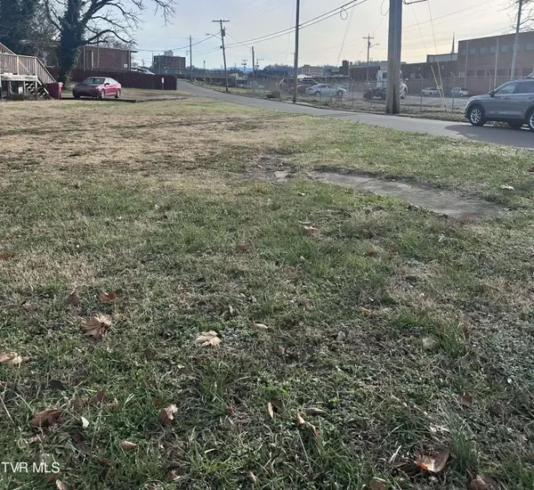 311 Watauga AVE, Johnson City, TN 37604