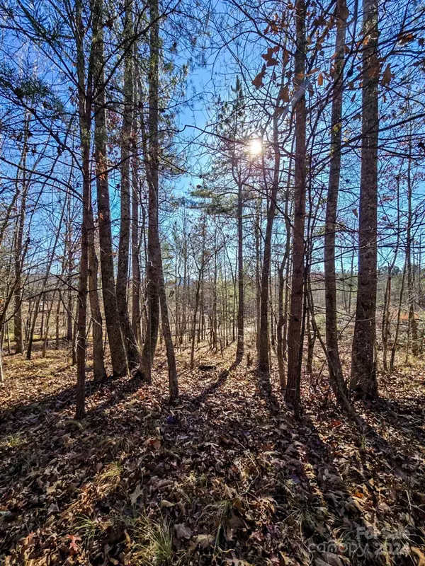 00 Vein Mountain RD, Nebo, NC 28761