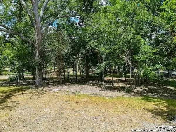217 GUADALUPE RIVER DR, Seguin, TX 78155