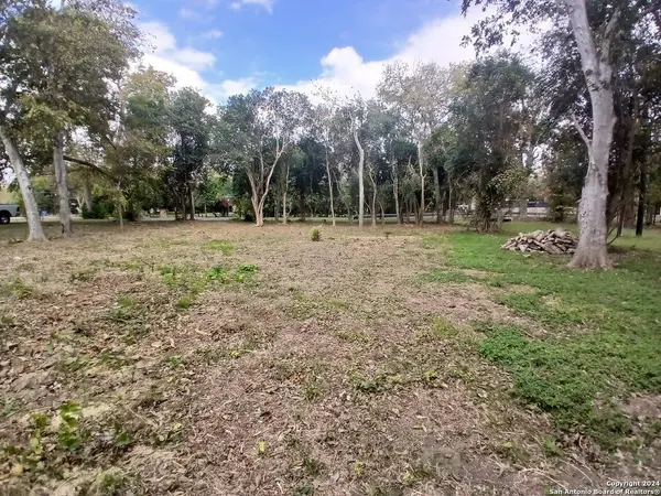 217 GUADALUPE RIVER DR, Seguin, TX 78155