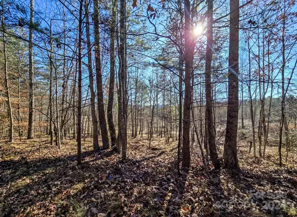 00 Vein Mountain RD, Nebo, NC 28761