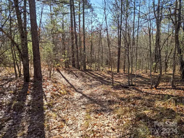 00 Vein Mountain RD, Nebo, NC 28761