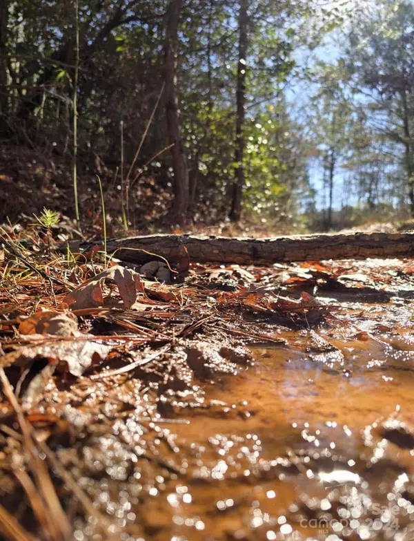 00 Vein Mountain RD, Nebo, NC 28761