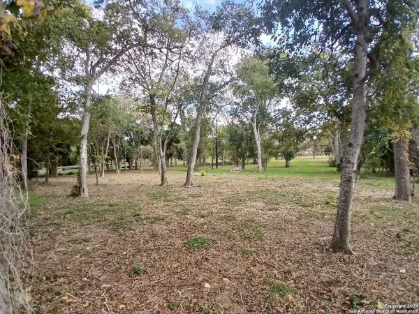 217 GUADALUPE RIVER DR, Seguin, TX 78155