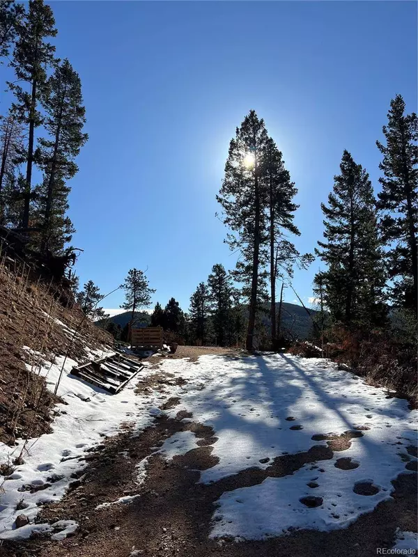 7251.1 Timber Trail RD, Evergreen, CO 80439