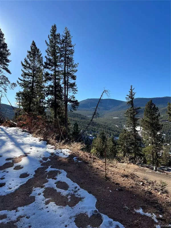 7251.1 Timber Trail RD, Evergreen, CO 80439