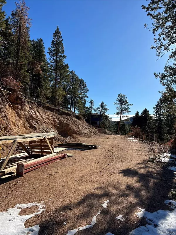 7251.1 Timber Trail RD, Evergreen, CO 80439