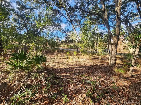 2176 W Conway DR, Dunnellon, FL 34434