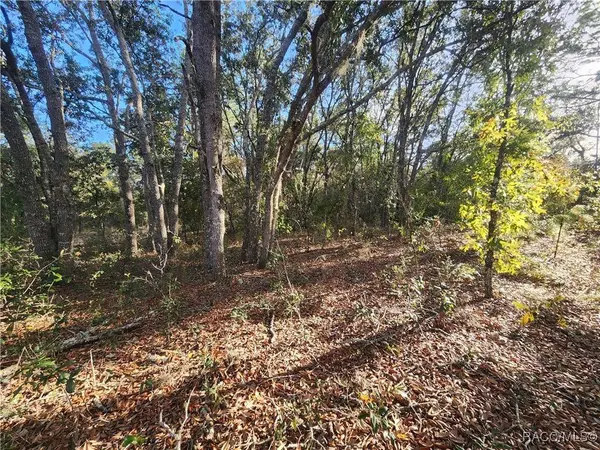 2176 W Conway DR, Dunnellon, FL 34434