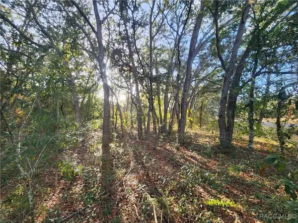 2176 W Conway DR, Dunnellon, FL 34434