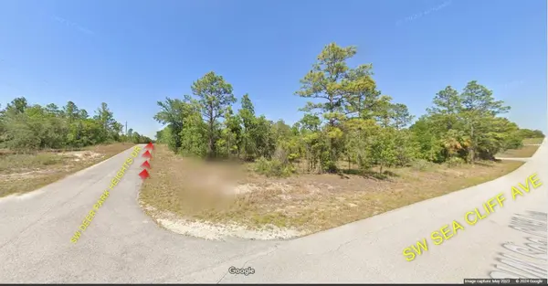 Lot 60 SW DEER PARK HEIGHTS RD, Dunnellon, FL 34431