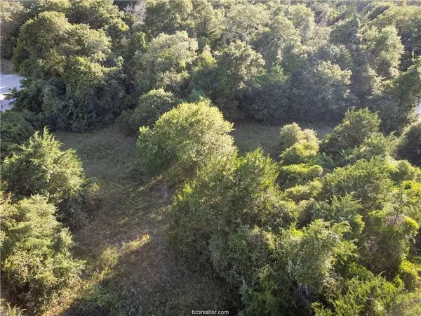 3 Acres Private Road 2019, Caldwell, TX 77836
