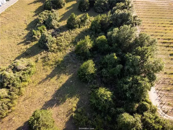 3 Acres Private Road 2019, Caldwell, TX 77836