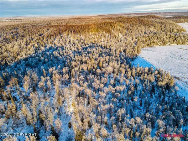 17497 S Dairy Lp, Wasilla, AK 99623