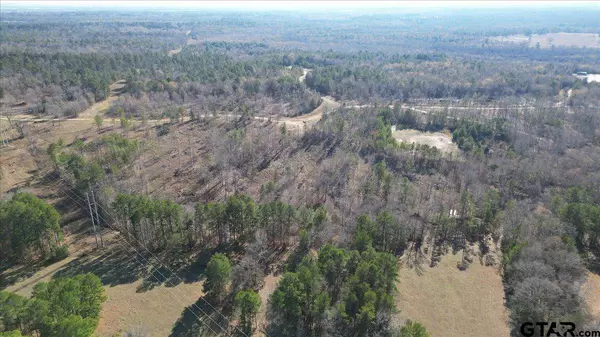 000 CR 4913, Troup, TX 75789