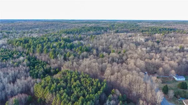 Alexandria St RD, Carthage, NY 13619