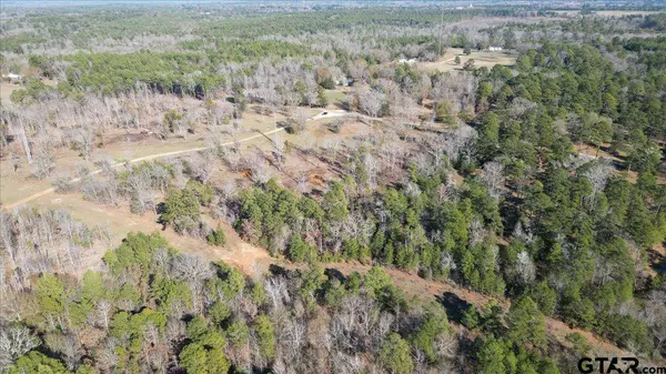 000 CR 4913, Troup, TX 75789