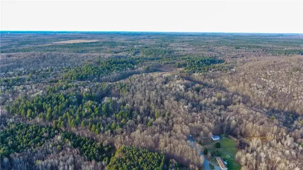 Alexandria St RD, Carthage, NY 13619