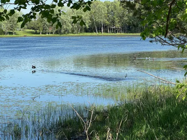 195XX Old Marine TRL N, Scandia, MN 55047