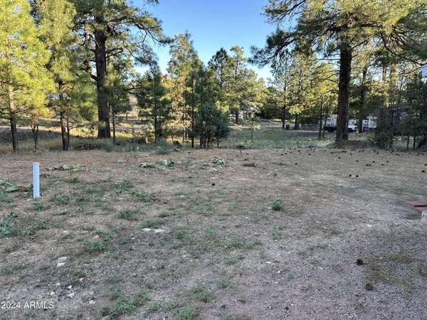 3512 WINCHESTER Road, Overgaard, AZ 85933
