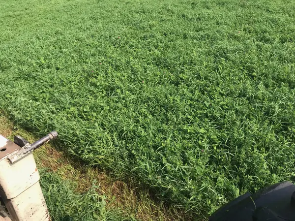 195XX Old Marine TRL N, Scandia, MN 55047