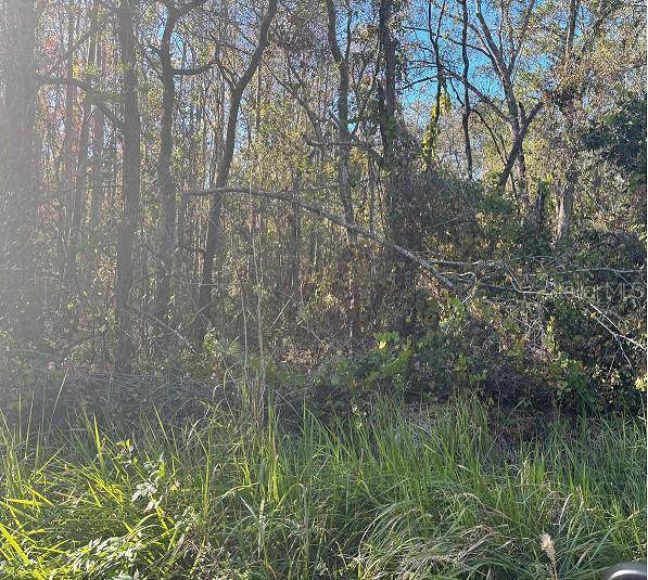 JUNGLE ST, New Port Richey, FL 34654