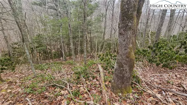 00 Brook View TRL, Boone, NC 28607