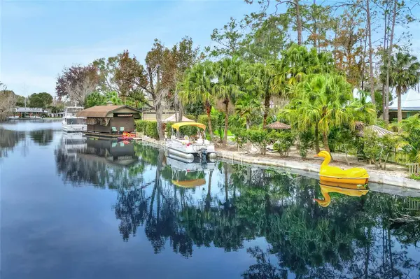 24120 MINK RD, Astor, FL 32102