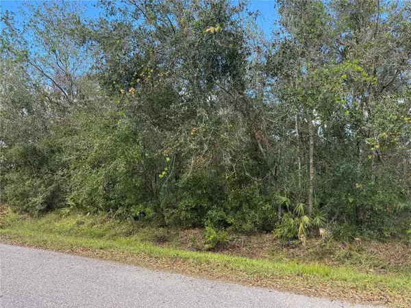 4921 NW ROYAL PALM DR, Arcadia, FL 34266