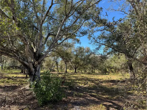 4816 SE RYE AVE, Arcadia, FL 34266