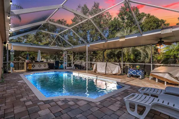 727 GRAND CANYON DR, Valrico, FL 33594