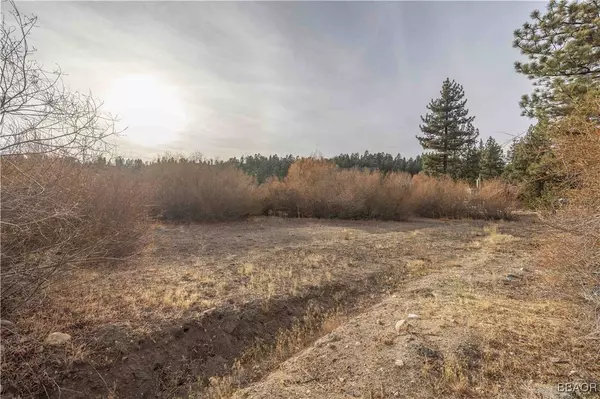 39271 Seminole DR, Fawnskin, CA 92333