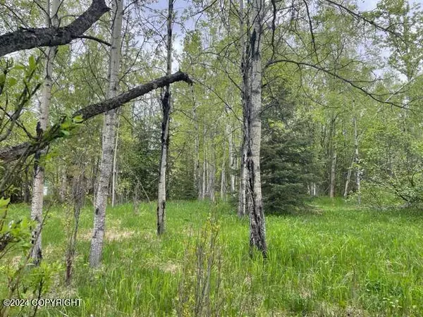 19214 1st ST, Eagle River, AK 99577