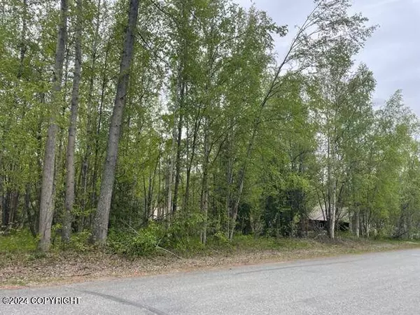 19214 1st ST, Eagle River, AK 99577