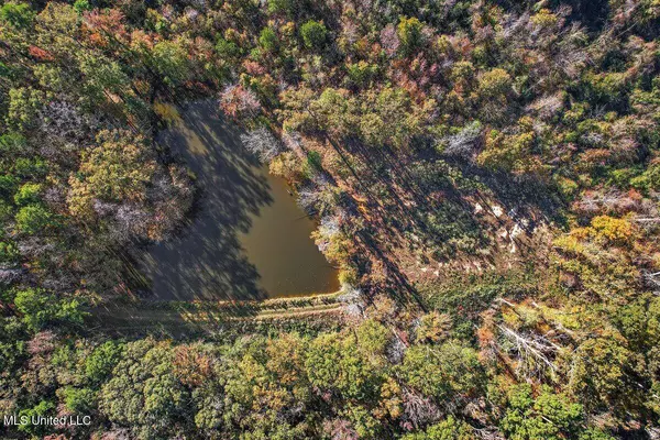 4700 Neil Collins Road Road, Raymond, MS 39154