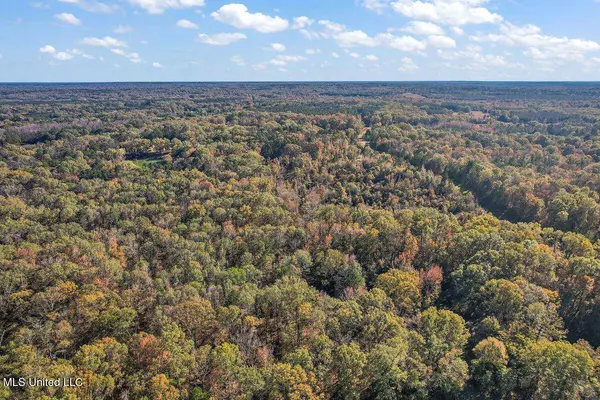 4700 Neil Collins Road Road, Raymond, MS 39154