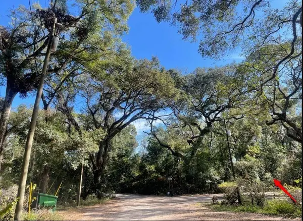 TBD CORNER OF MORRIS LANE AND HOLLAND LANE (LOTS 8 & 9, Spring Hill, FL 34610