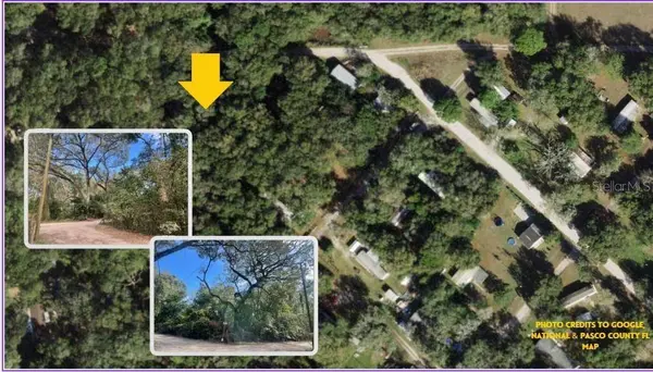 TBD CORNER OF MORRIS LANE AND HOLLAND LANE (LOTS 8 & 9, Spring Hill, FL 34610