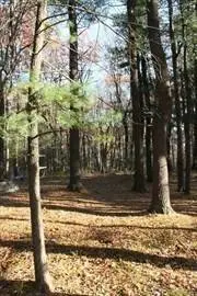 Lot 181 Ash Street, Spencer, MA 01562