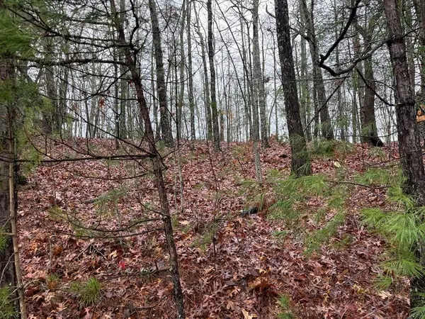 1033 Cardinal Road, Murphy, NC 28906