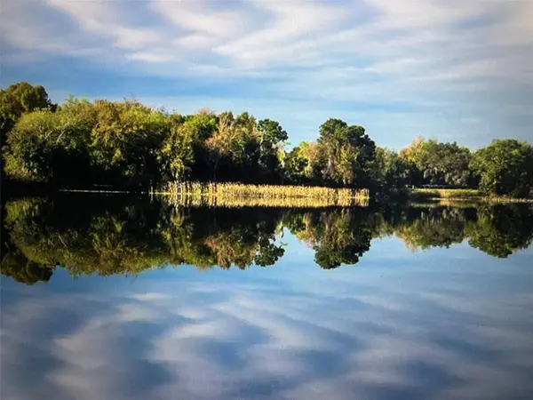 3406 LAKE DIANE RD, Tavares, FL 32778