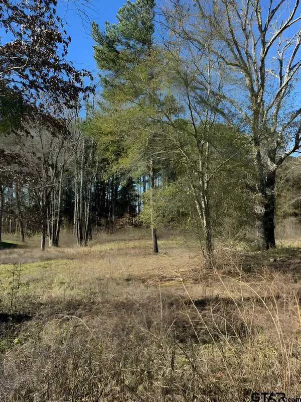 Lot 3 Berrycreek Cir, Frankston, TX 75763