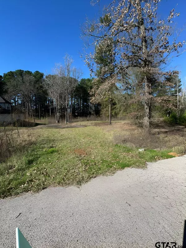 Lot 3 Berrycreek Cir, Frankston, TX 75763