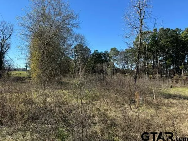 Lot 1 Berrycreek Cir, Frankston, TX 75763