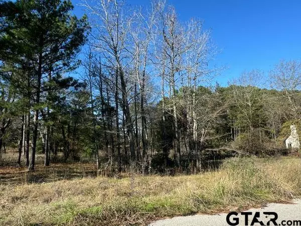 Lot 1 Berrycreek Cir, Frankston, TX 75763