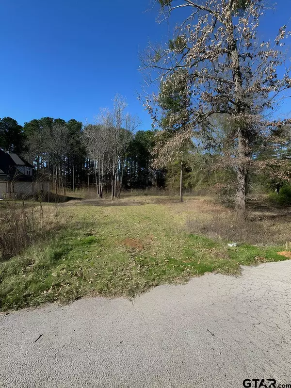 Lot 3 Berrycreek Cir, Frankston, TX 75763